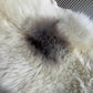 ONE OF A KIND Welsh Long wool Cream with single Grey Spot Sheepskin