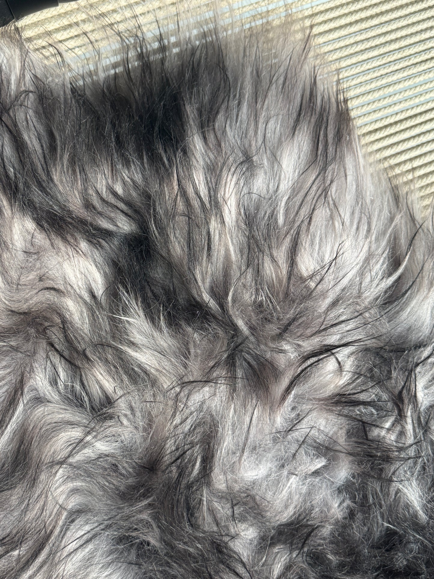 ONE OF A KIND Light Lavender with Grey Tops Icelandic Sheepskin