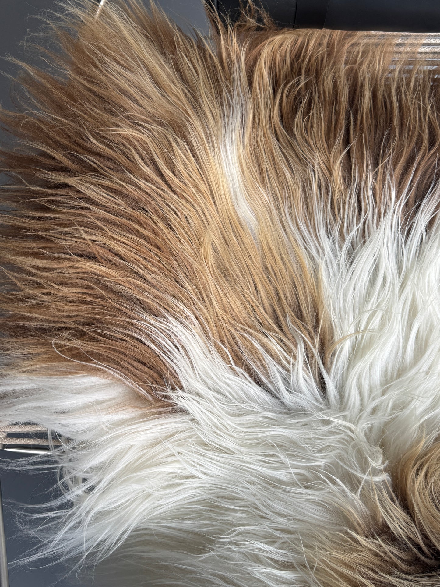 ONE OF A KIND XL Bright Brown Spotted Icelandic Sheepskin