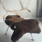 Unique Solid Brown Welsh Sheepskin