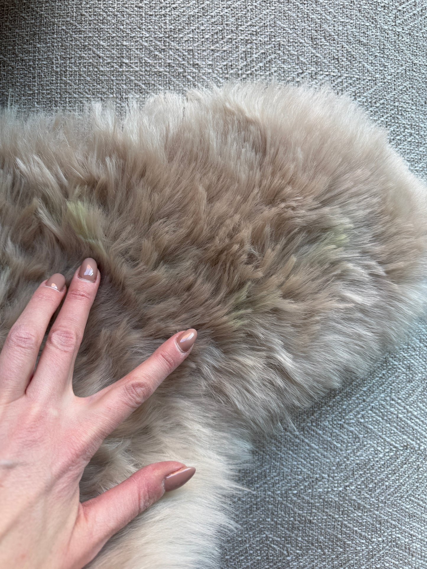 B Grade Shorn Nude Wool Icelandic Sheepskin