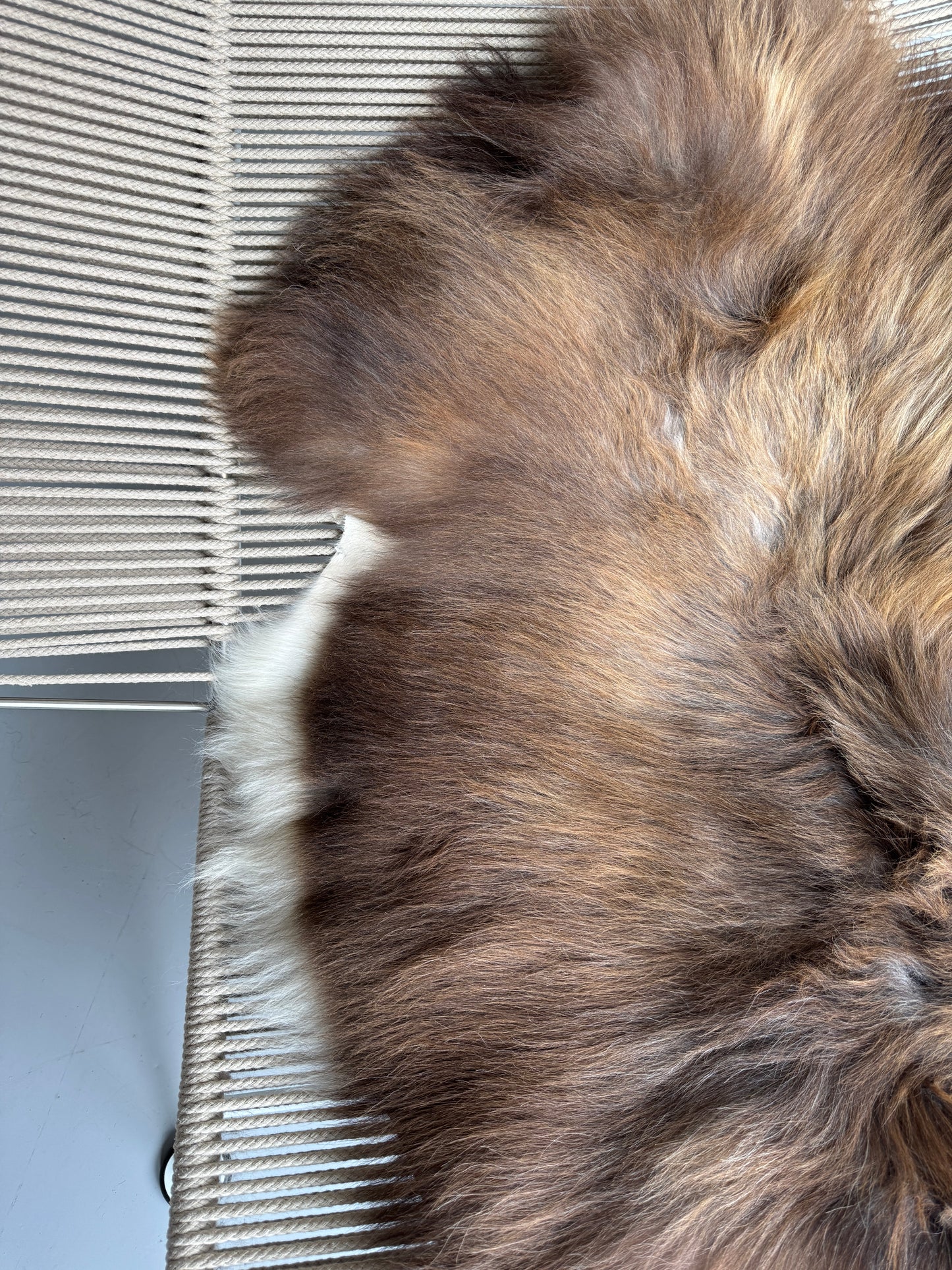 ONE OF A KIND Rusty Grey with White Edges Icelandic Sheepskin