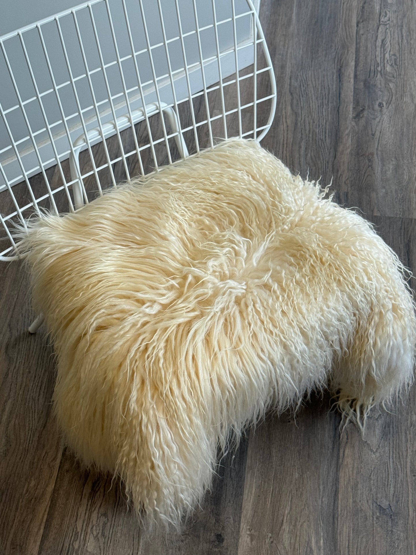 White Icelandic Curly Sheepskin