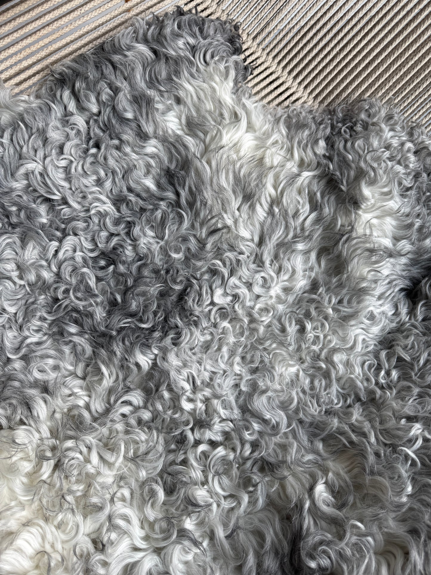 ONE OF A KIND Gotland Medium Wool Silver Sheepskin