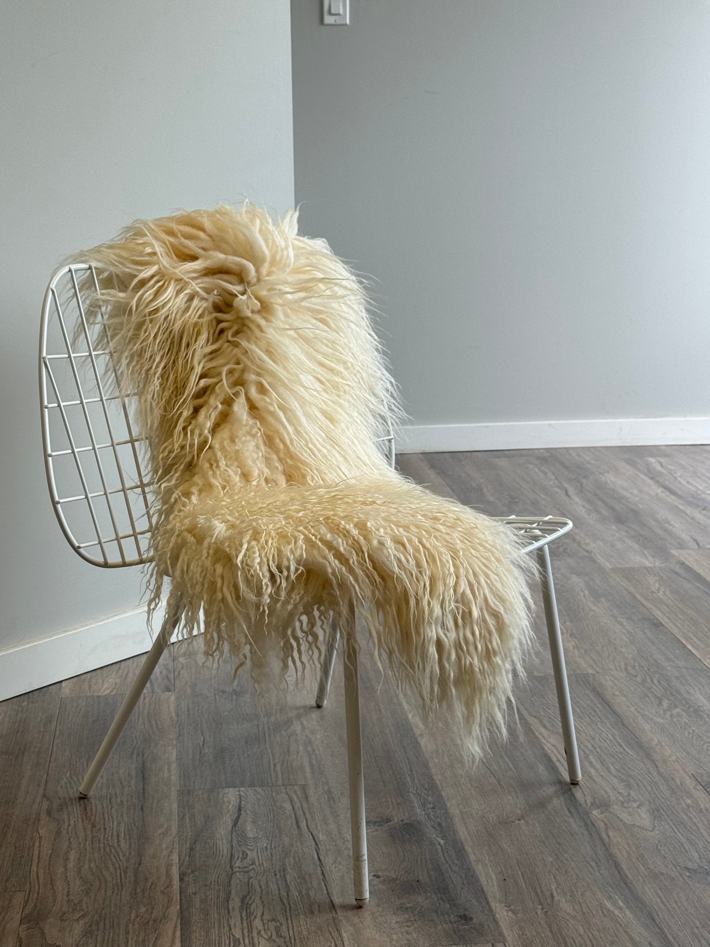 White Icelandic Curly Sheepskin - Black Sheep (White Light)