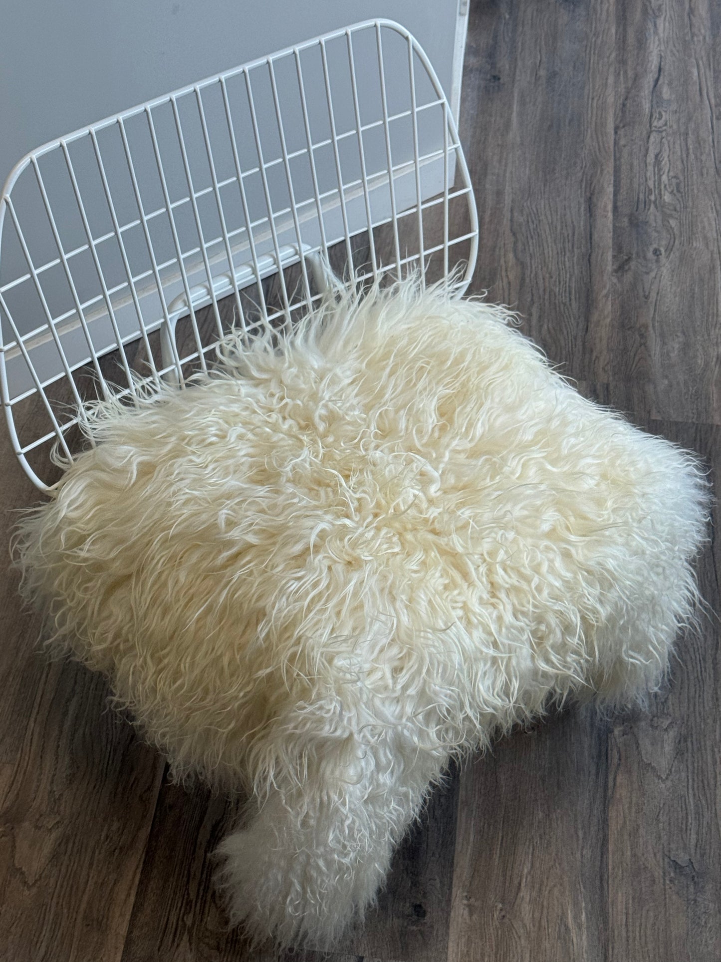 White Icelandic Curly Sheepskin