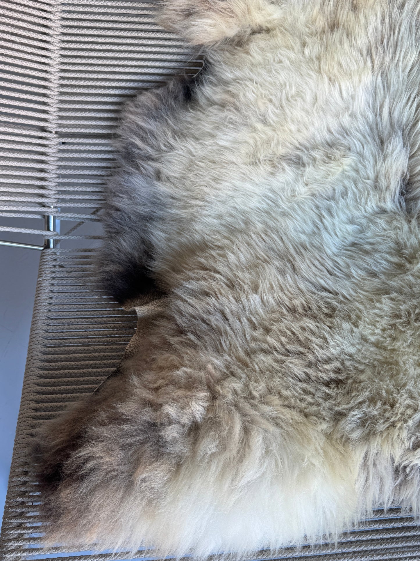 ONE OF A KIND XL Welsh Blend Light Sheepskin