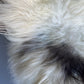 ONE OF A KIND Large White Long wool Icelandic Sheepskin with Light Grey Spot