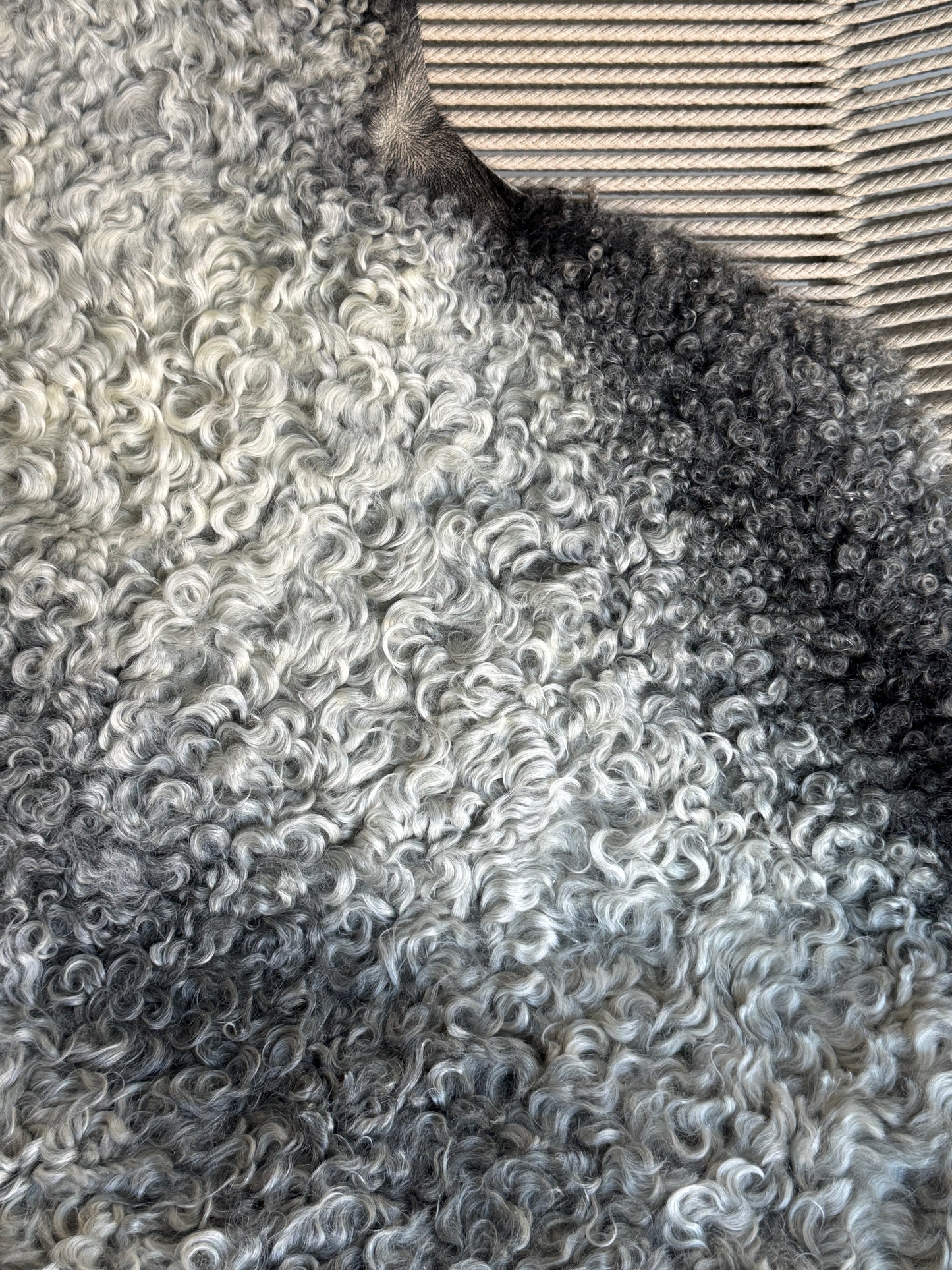 ONE OF A KIND Gotland Medium Wool Dark Edges Sheepskin
