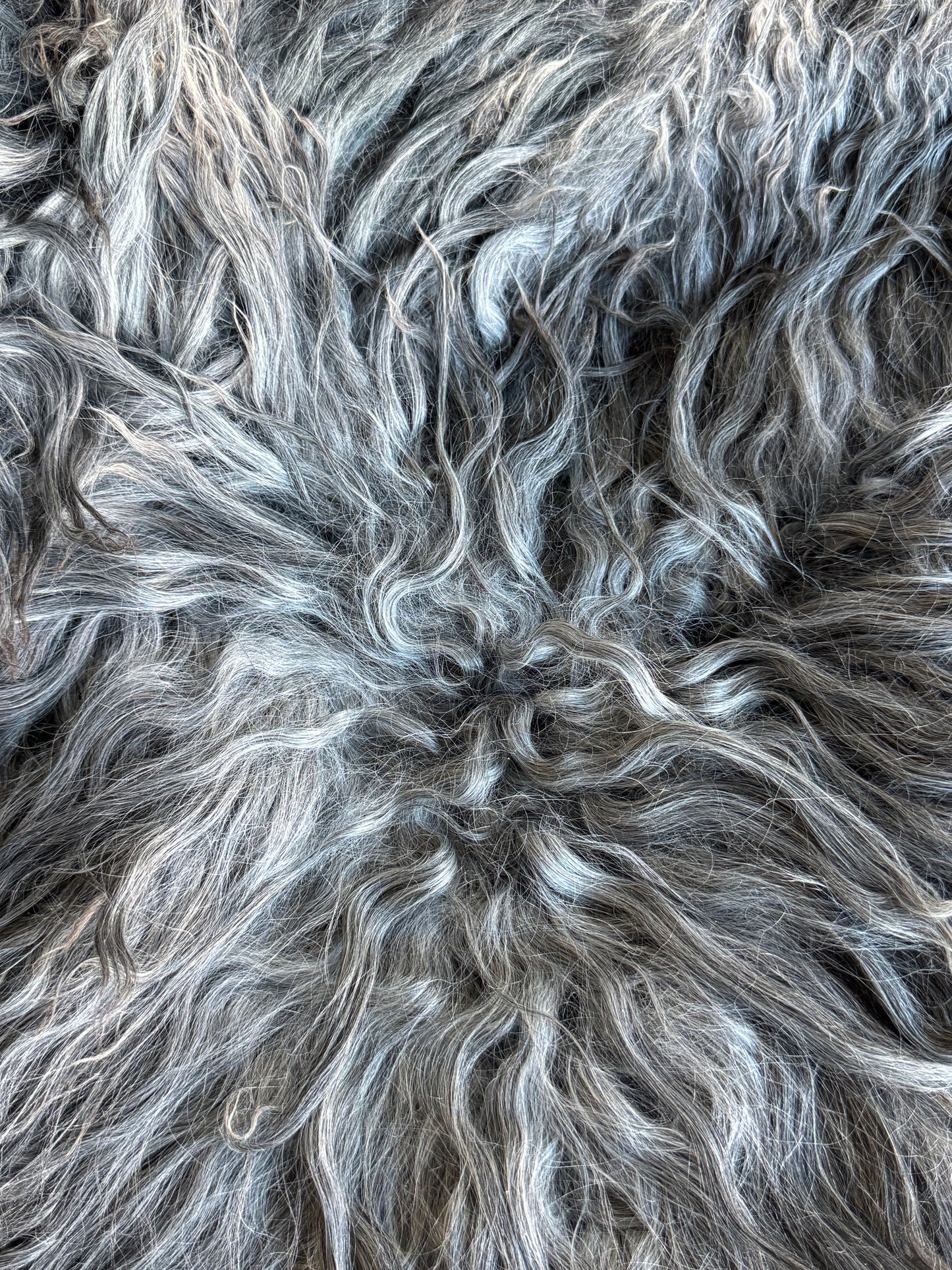 ONE OF A KIND XL Gotland Silver Long Wool Sheepskin