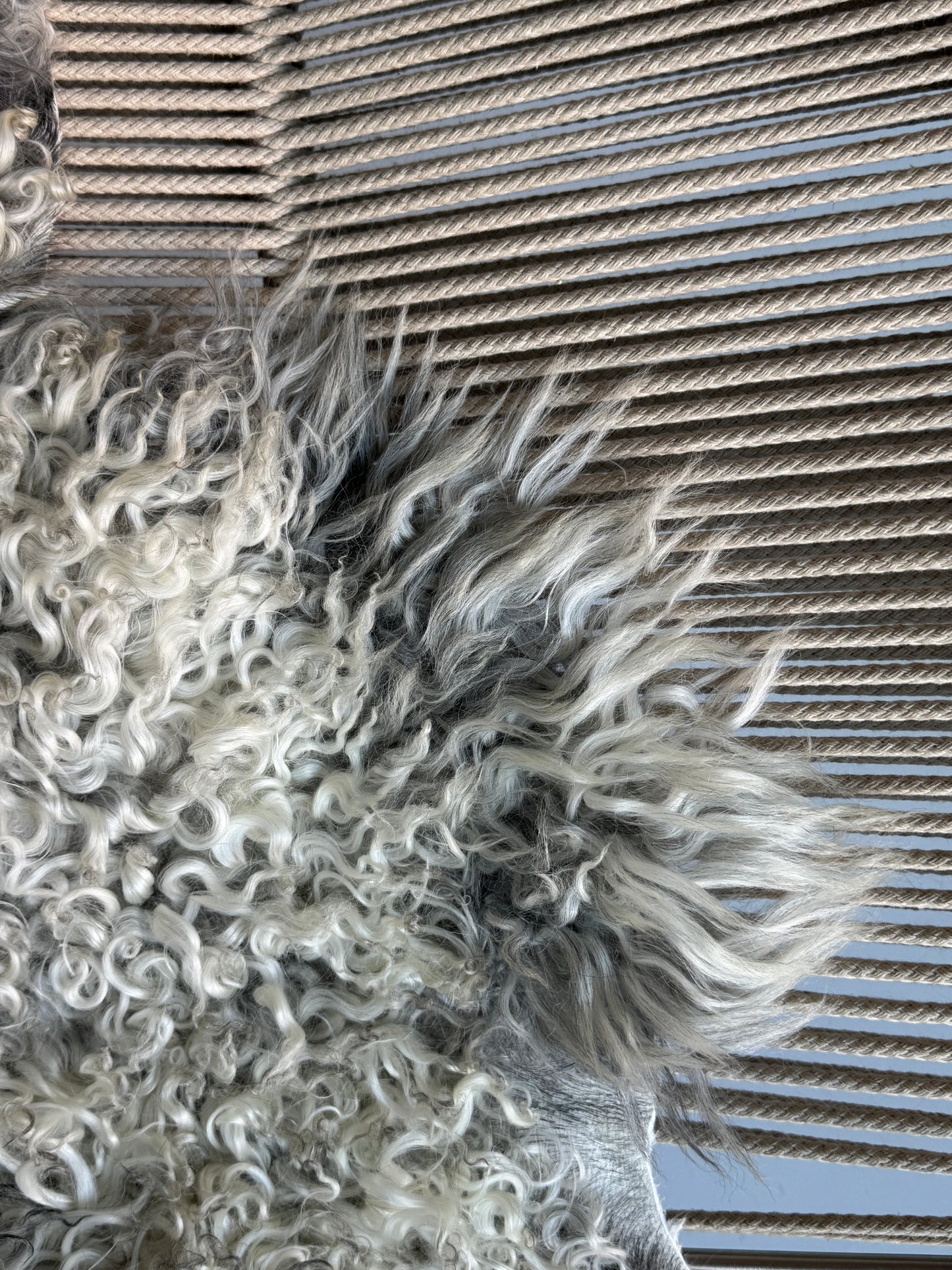 ONE OF A KIND Gotland Long Wool White/Grey Mix Sheepskin