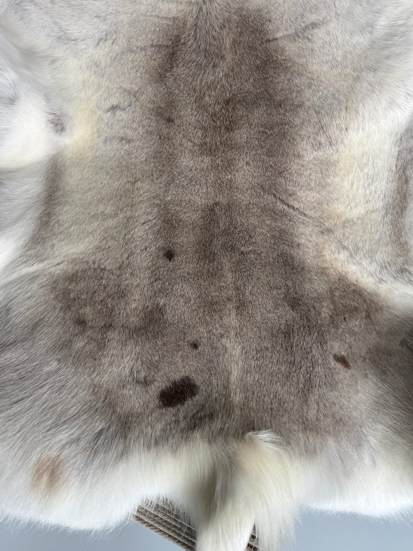 ONE OF A KIND Light Spotted Reindeer Hide