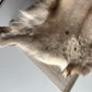 ONE OF A KIND Light Taupe Spotted Reindeer Hide
