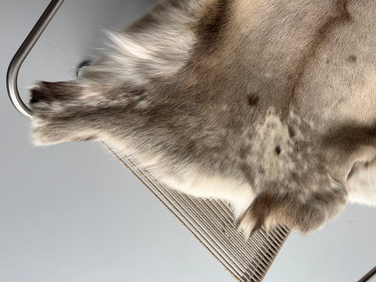 ONE OF A KIND Light Taupe Spotted Reindeer Hide