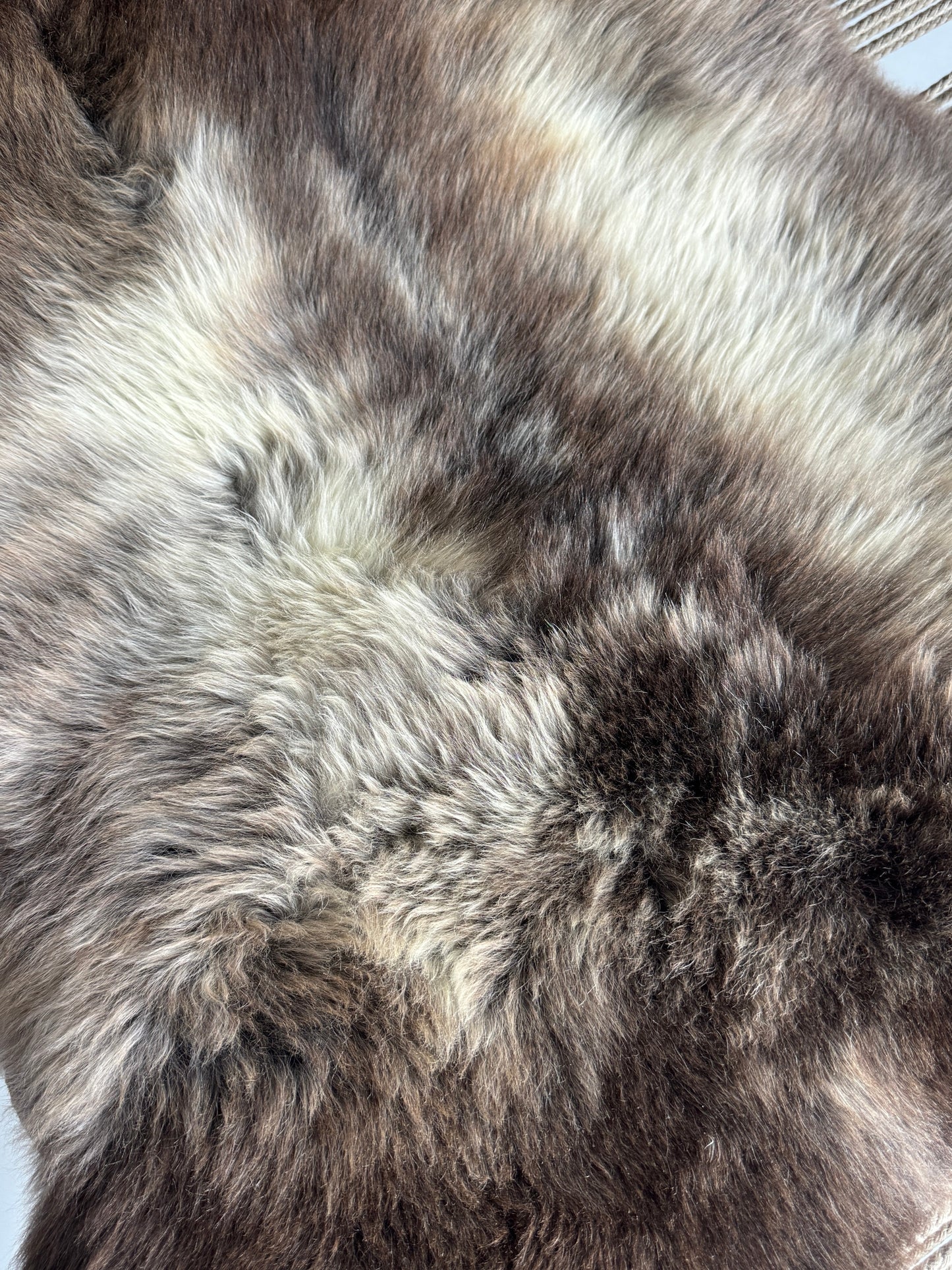 ONE OF A KIND Blend Dark Welsh Sheepskin