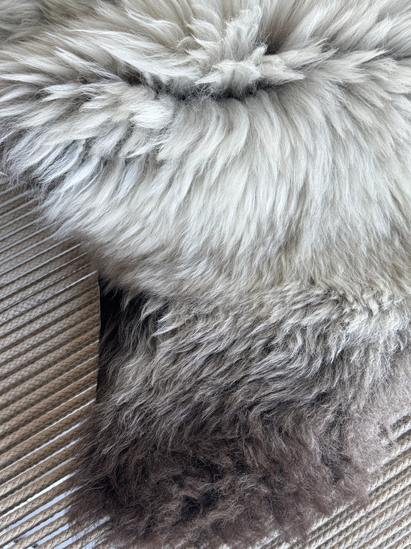 ONE OF A KIND Blend Grey Welsh Sheepskin
