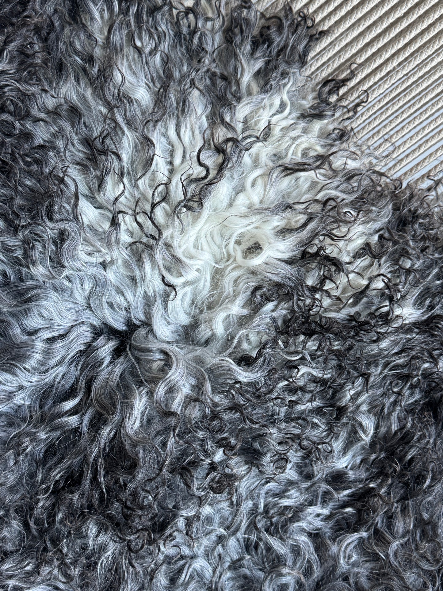 ONE OF A KIND Gotland Long Wool White/Black Mix Sheepskin