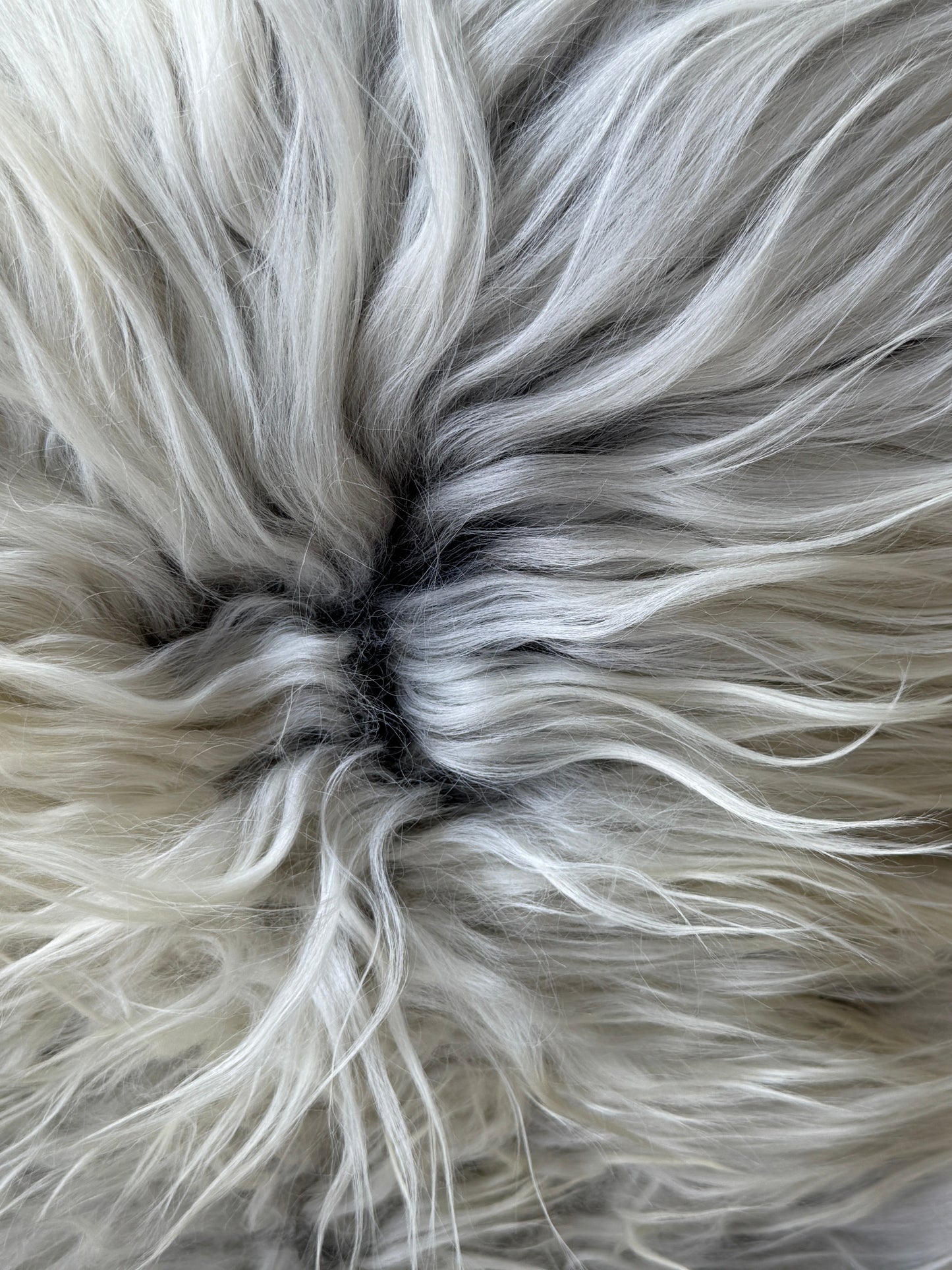 ONE OF A KIND White with Black Spot Icelandic Sheepskin