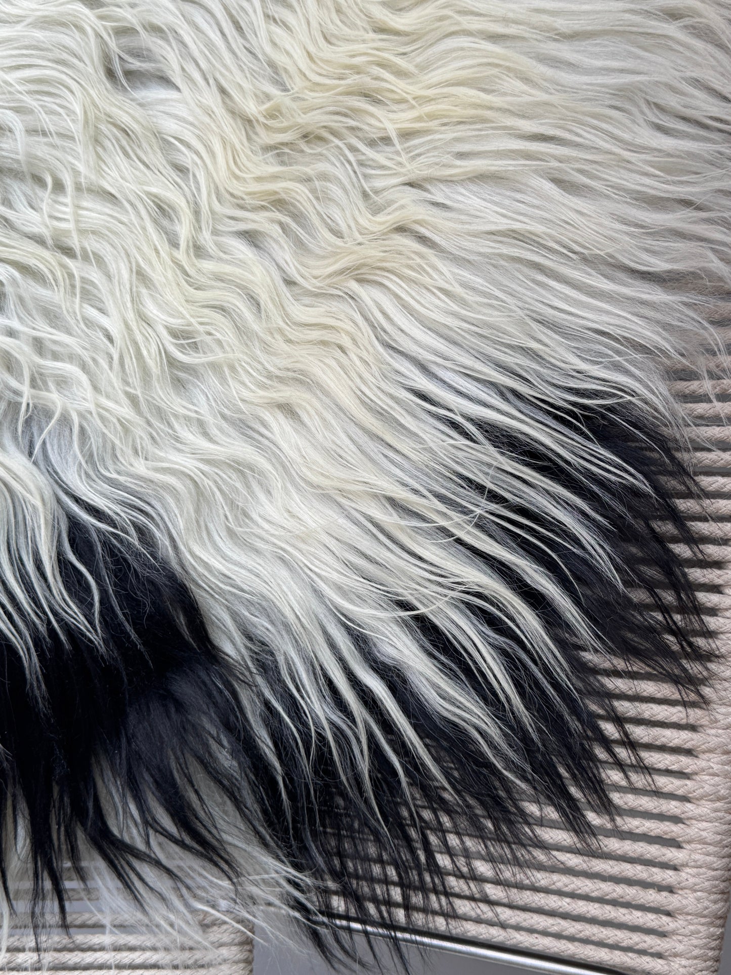 ONE OF A KIND White with Black Spot Icelandic Sheepskin
