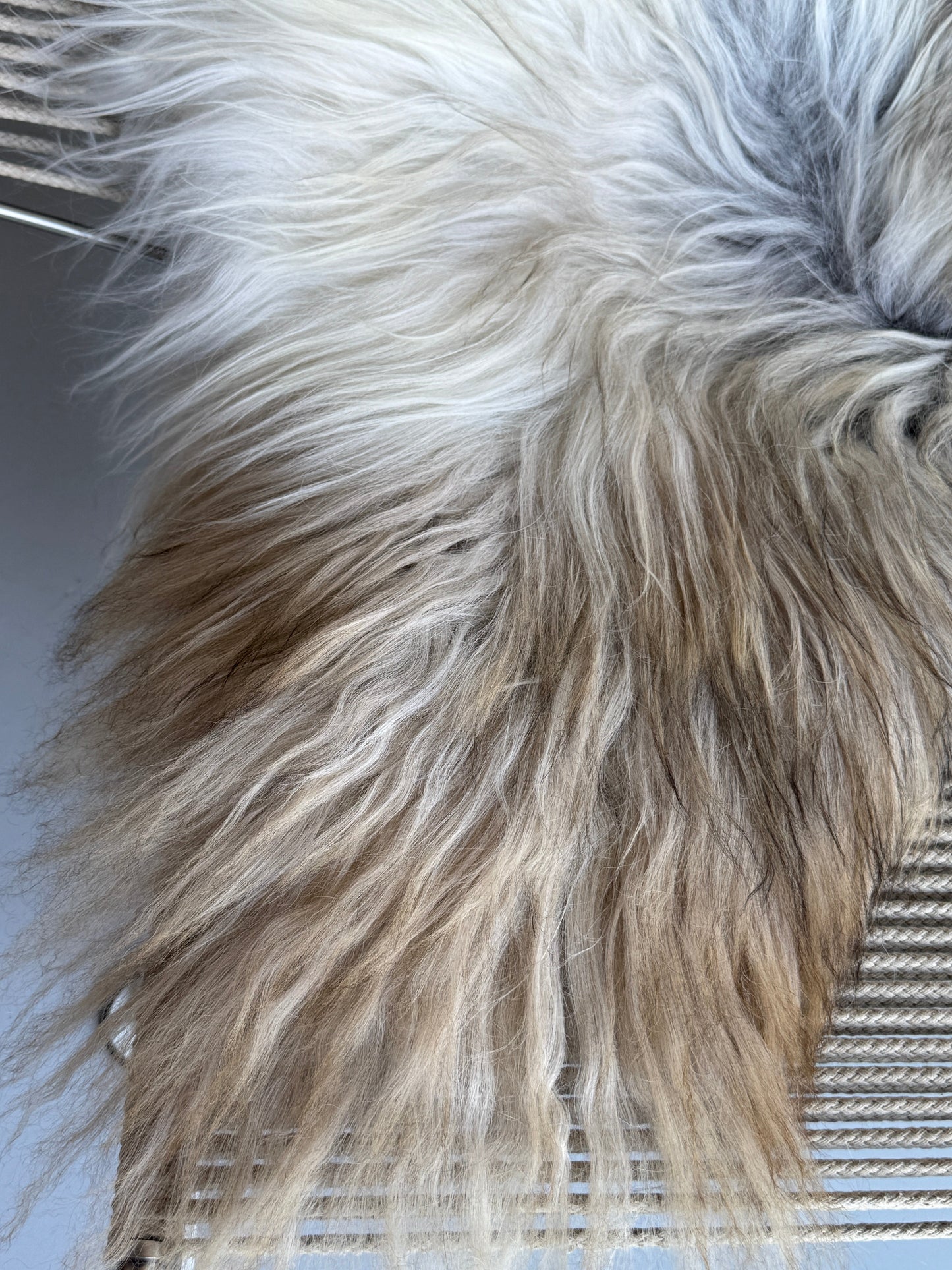 ONE OF A KIND Light Natural Grey Icelandic Sheepskin