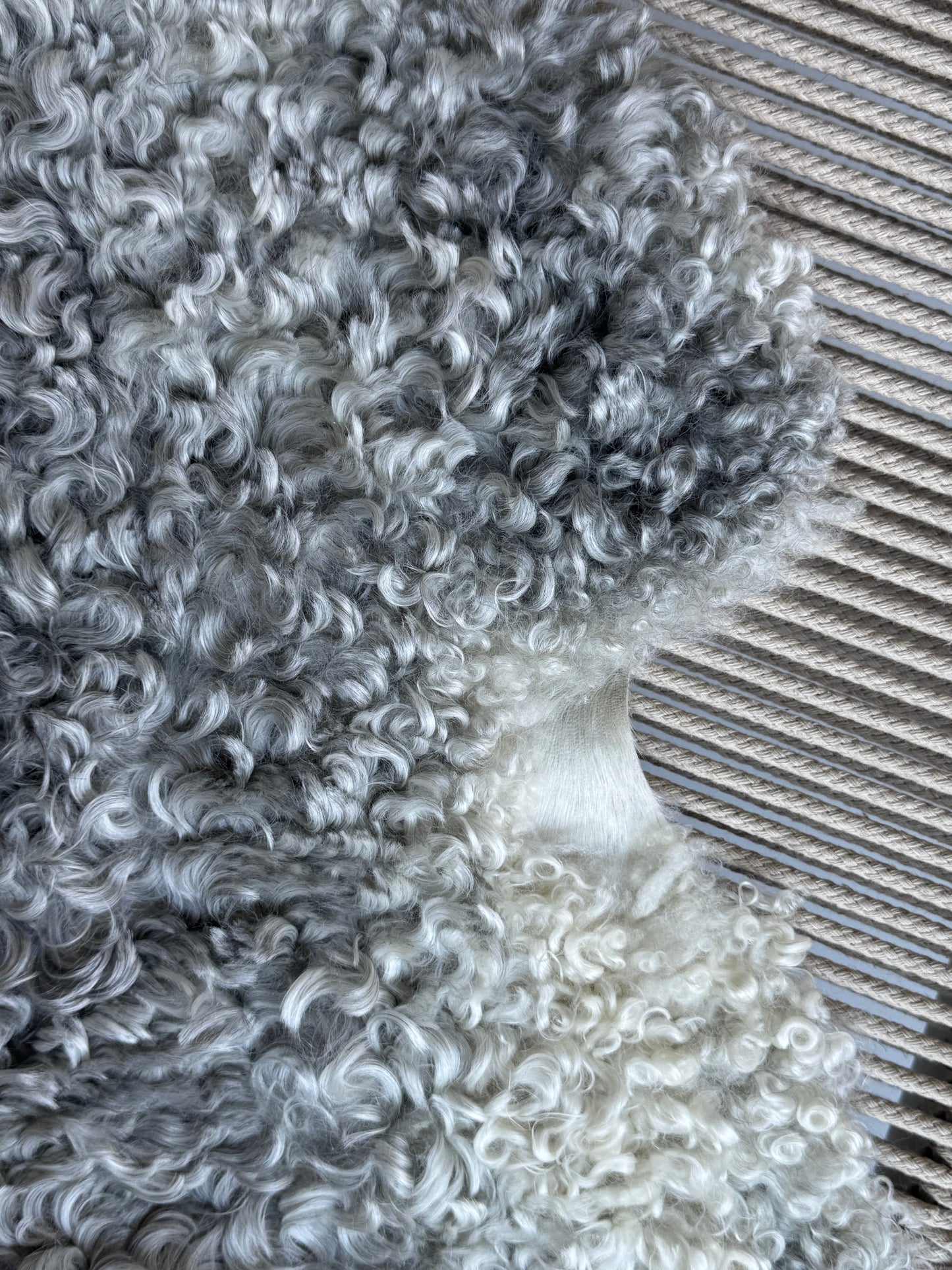 ONE OF A KIND Gotland Medium Wool Light Silver Sheepskin