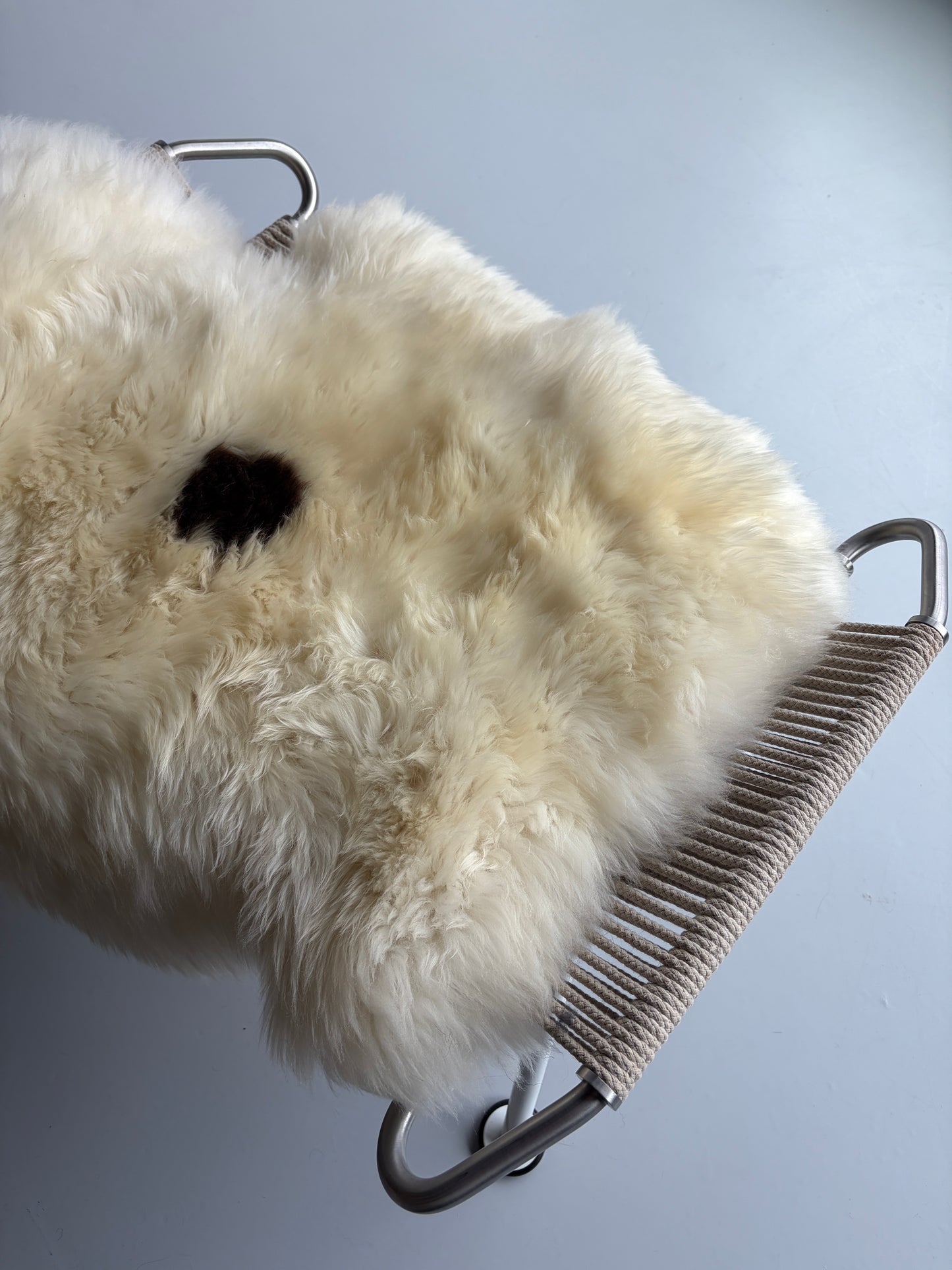 Unique Single Spotted Welsh Sheepskin