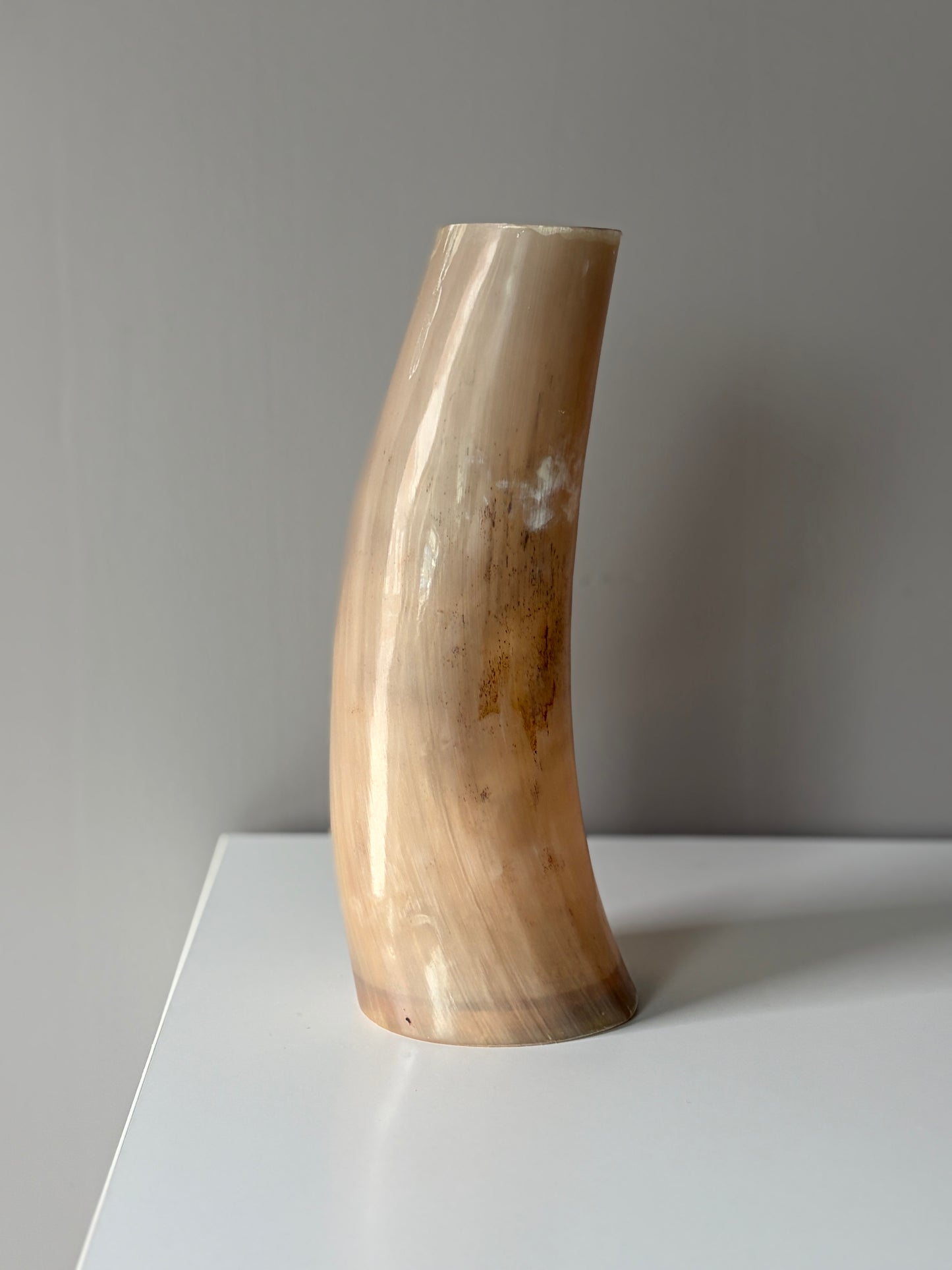 B Grade Ankole & Gyr Horn Light Vase