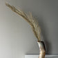 B Grade Ankole & Gyr Horn Light Vase