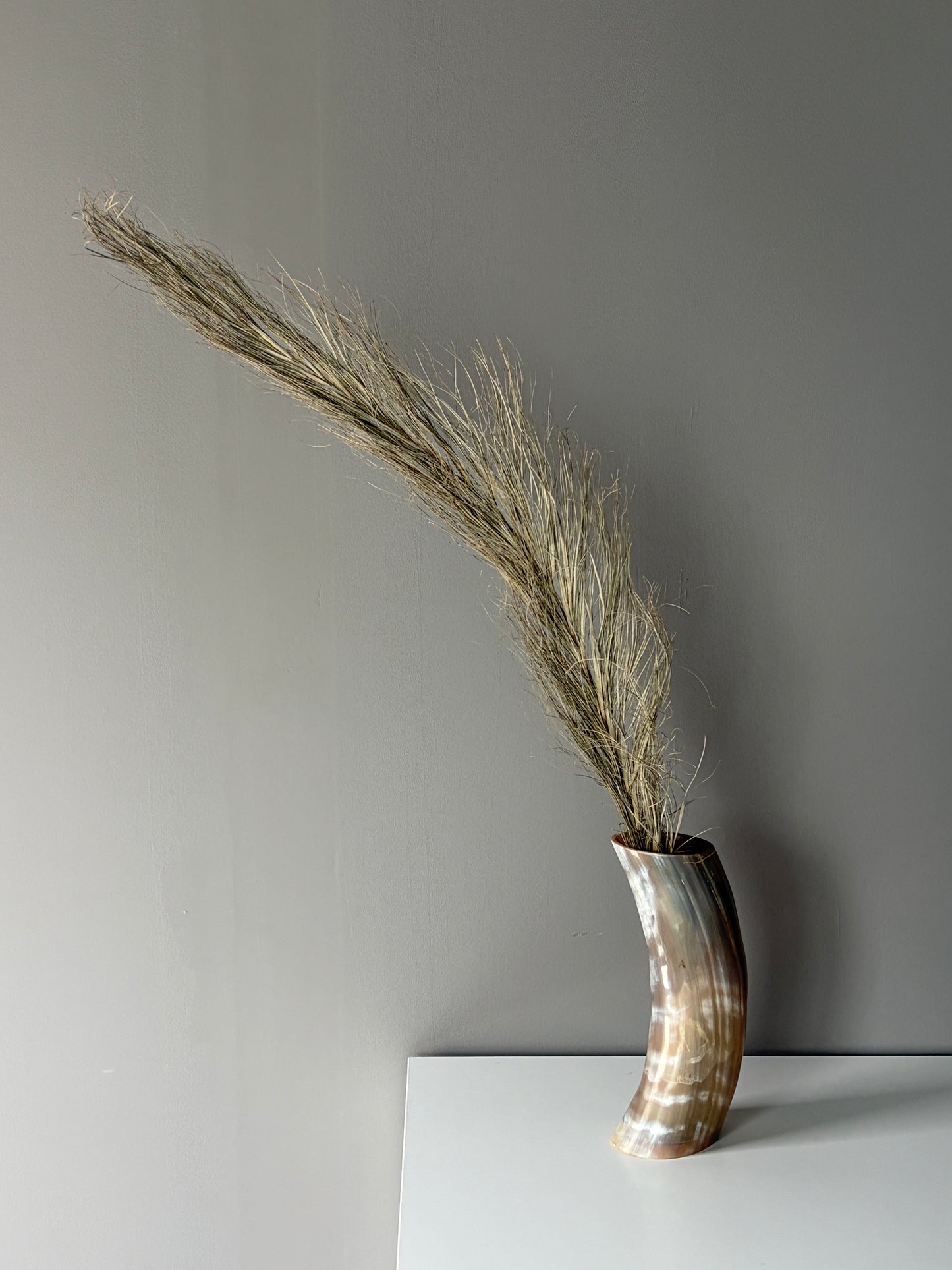 B Grade Ankole & Gyr Horn Light Vase