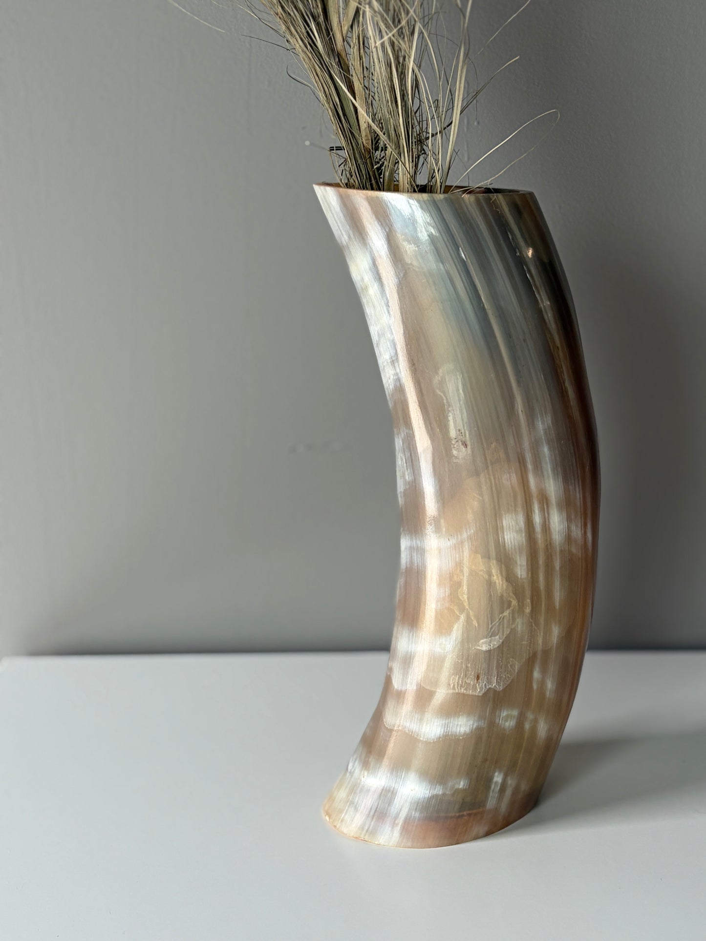 B Grade Ankole & Gyr Horn Light Vase
