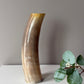 B Grade Ankole & Gyr Horn Light Vase