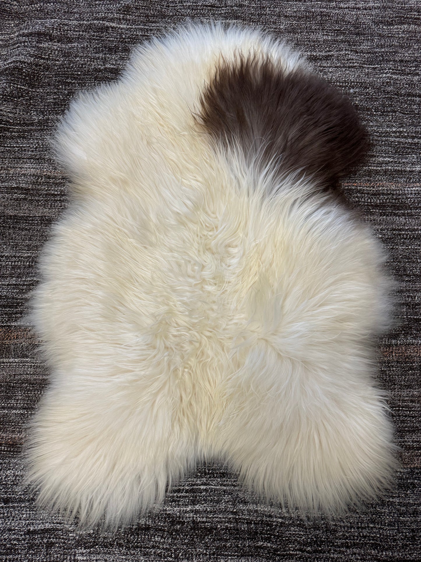 ONE OF THE KIND Icelandic Spotted Random Brown and White Sheepskin