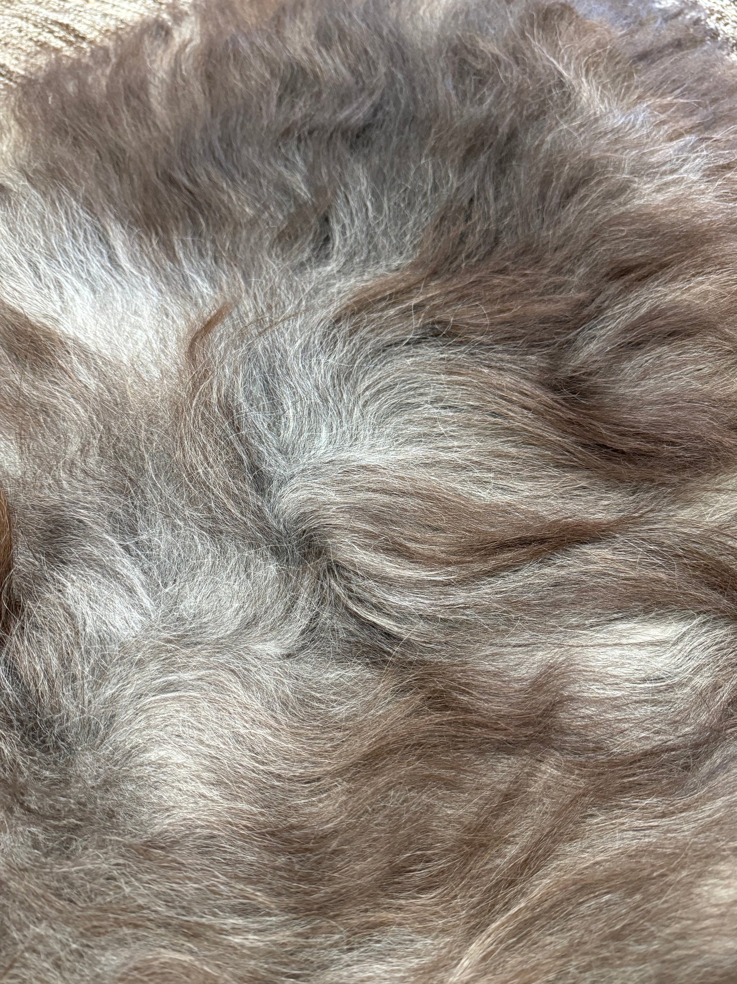 ONE OF A KIND Icelandic Rusty Grey Sheepskin