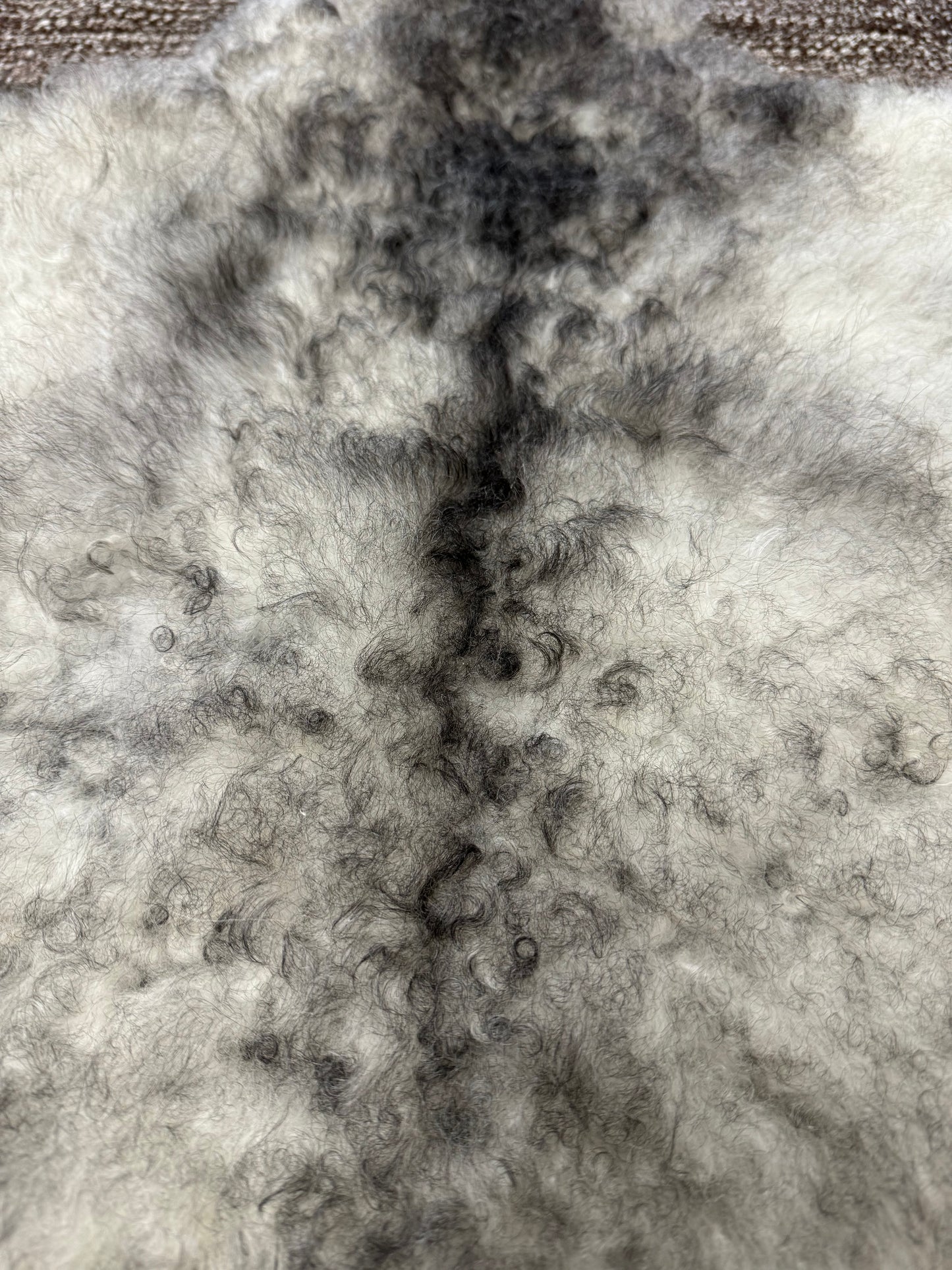 ONE OF A KIND Small Icelandic Shorn Black and White Sheepskin