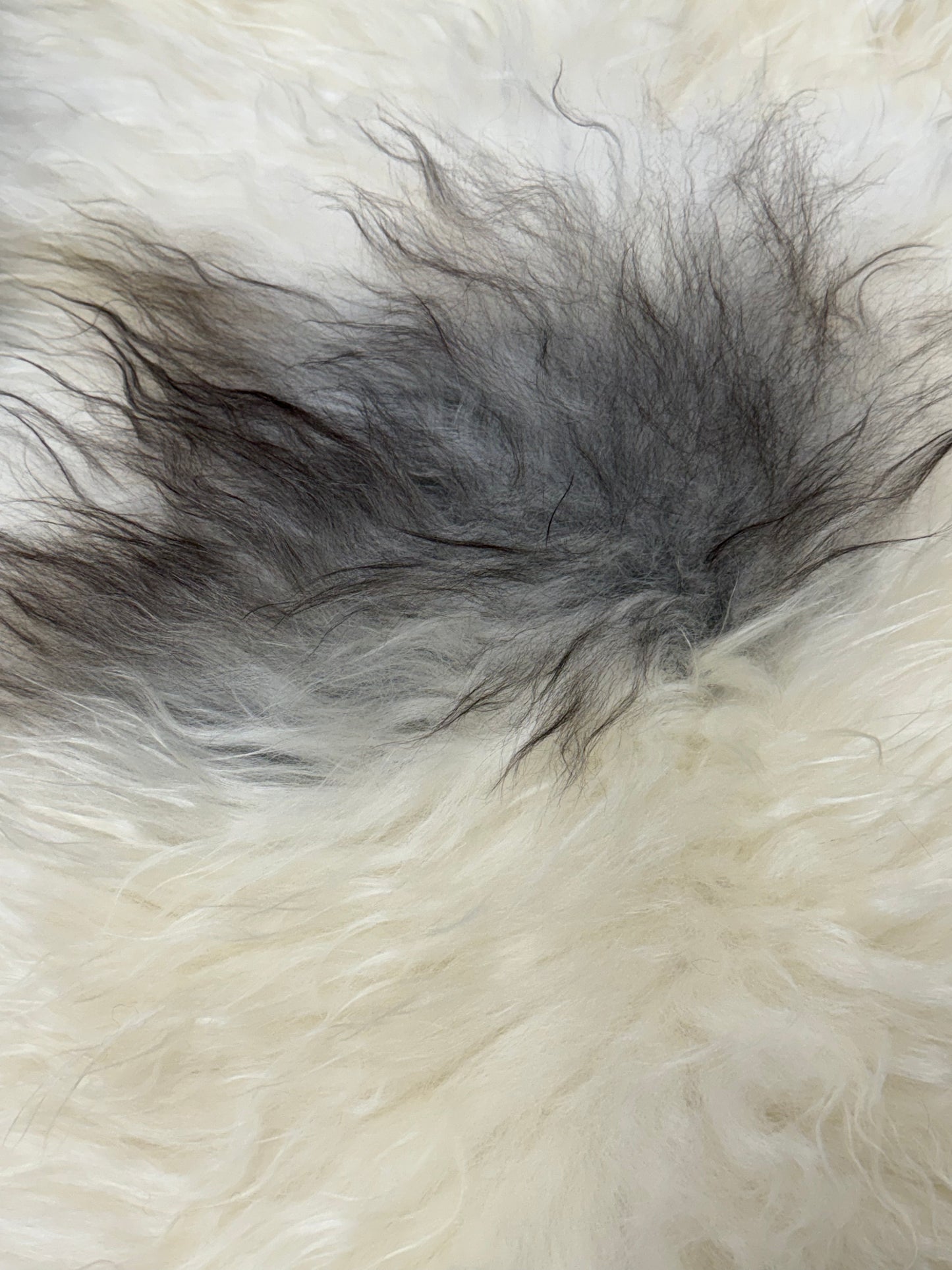 ONE OF THE KIND Icelandic Spotted Random Grey and White Sheepskin