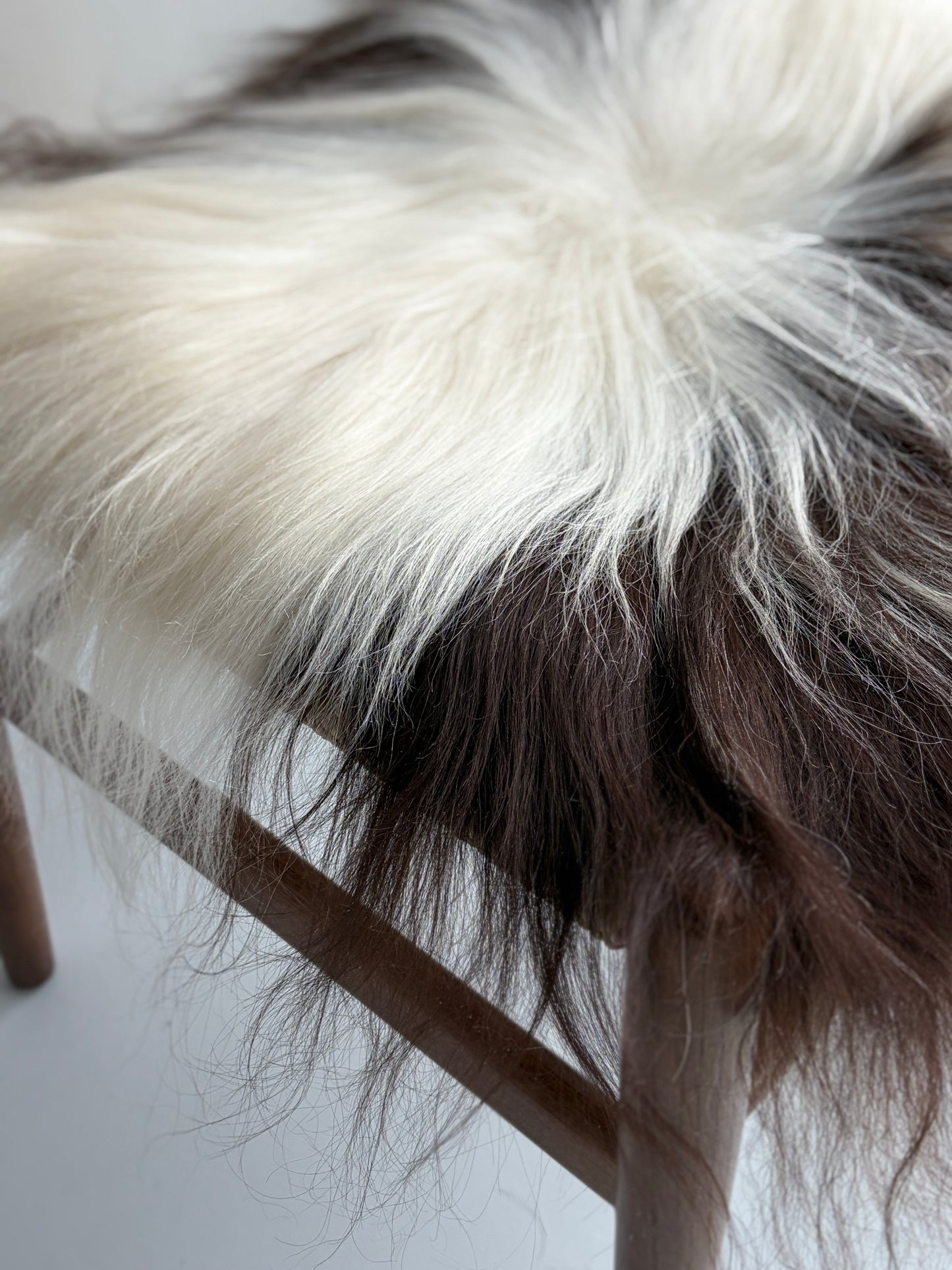 ONE OF A KIND Icelandic Dark Brown Spotted Sheepskin Chair Pad