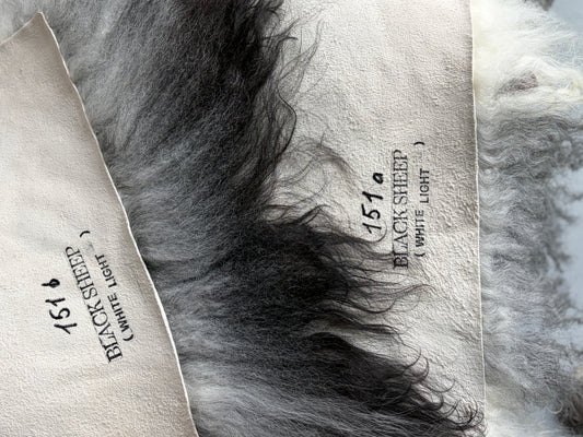 ONE OF A KIND Matching Pair of Black/White Curly Icelandic Sheepskin chair pads