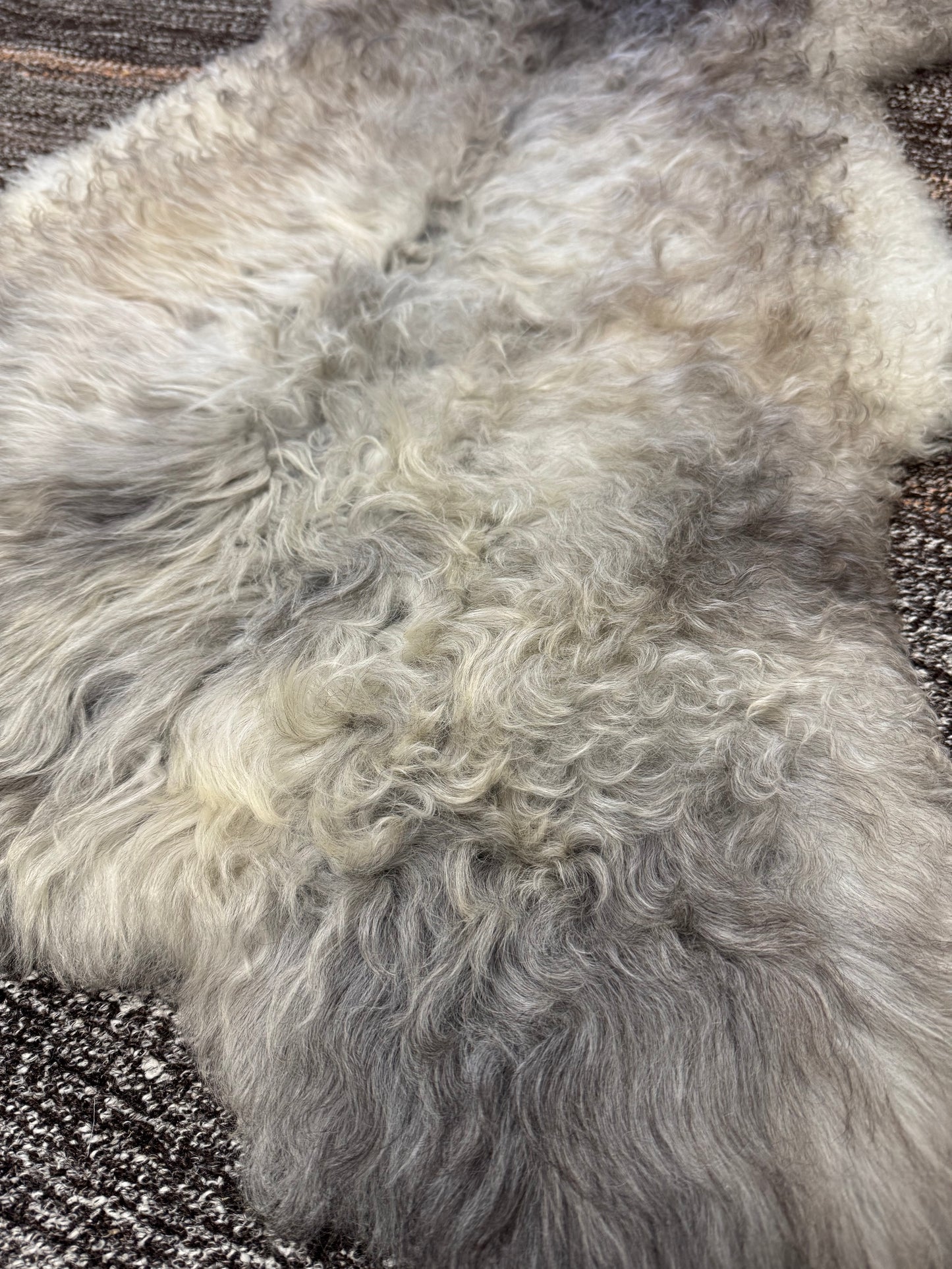 ONE OF A KIND Short Wool Icelandic Multicolored Sheepskin