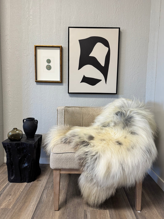 ONE OF A KIND Long Wool Icelandic Sheepskin in Light Natural Grey, Spotted