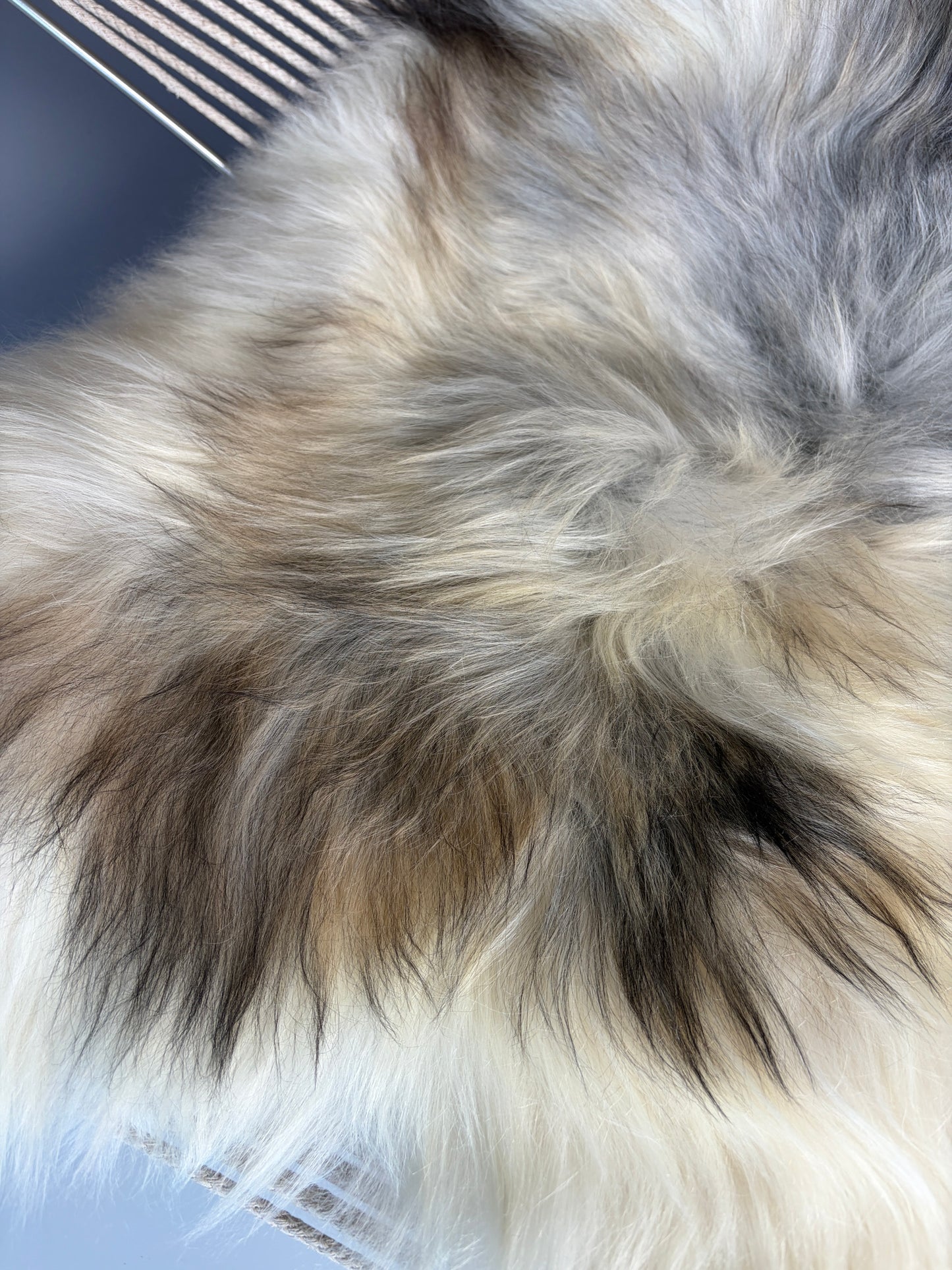 ONE OF A KIND Light Natural Grey Icelandic Sheepskin