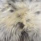 ONE OF A KIND Long Wool Icelandic Sheepskin in Light Natural Grey, Spotted