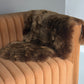 Shorn Light Brown Icelandic Sheepskin