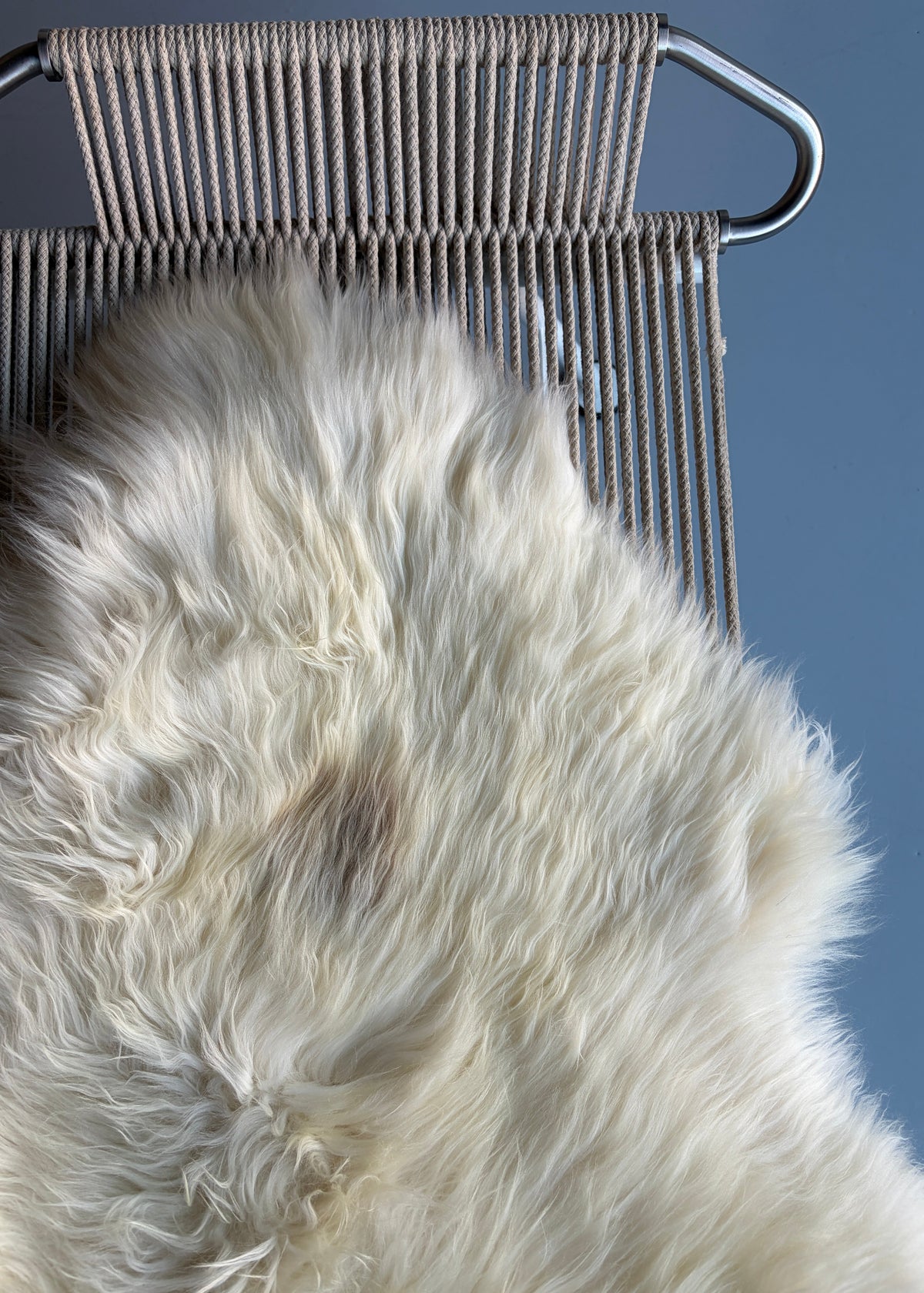Unique "I Am Not White" Welsh Sheepskin