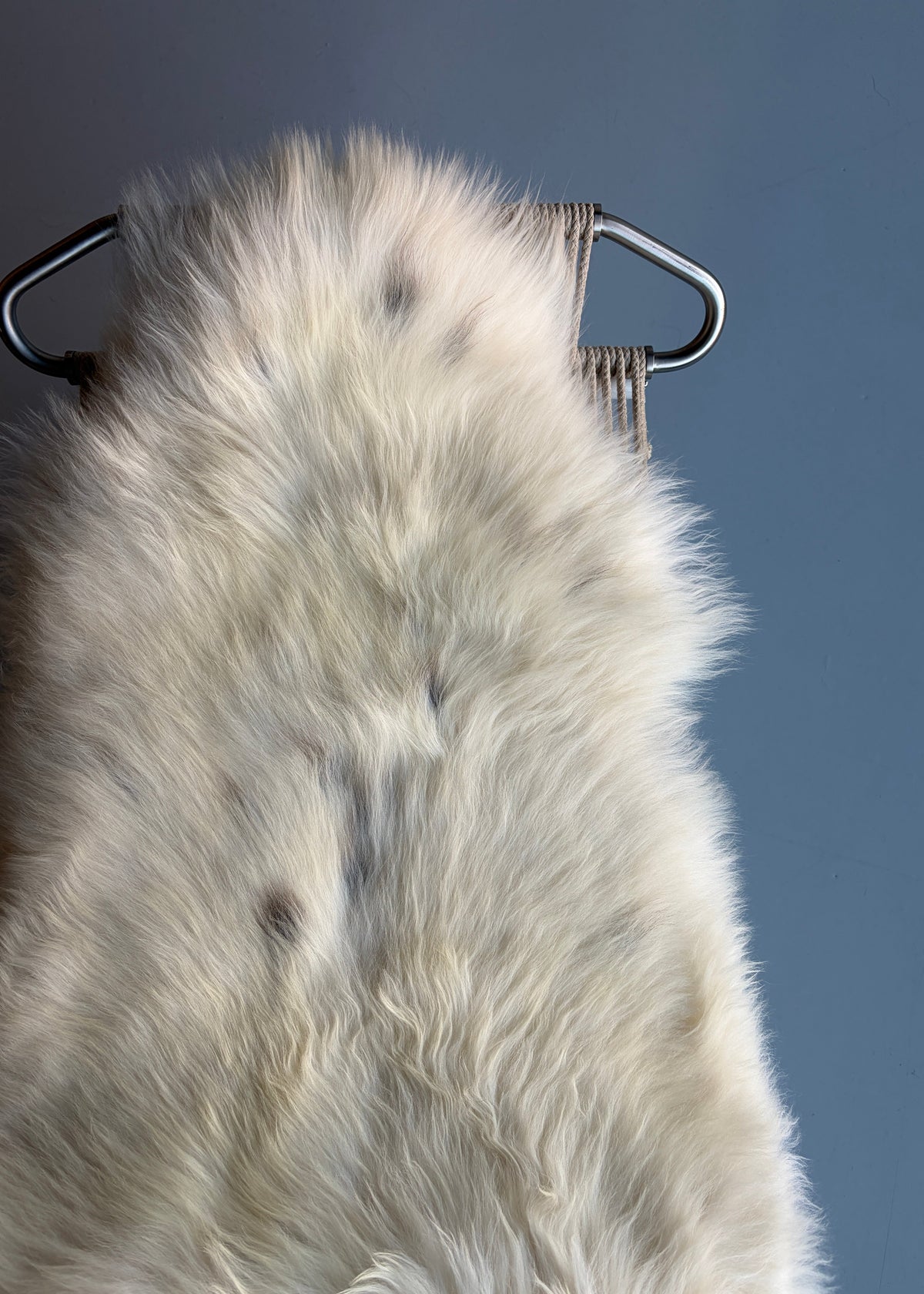 Unique "I Am Not White" Welsh Sheepskin
