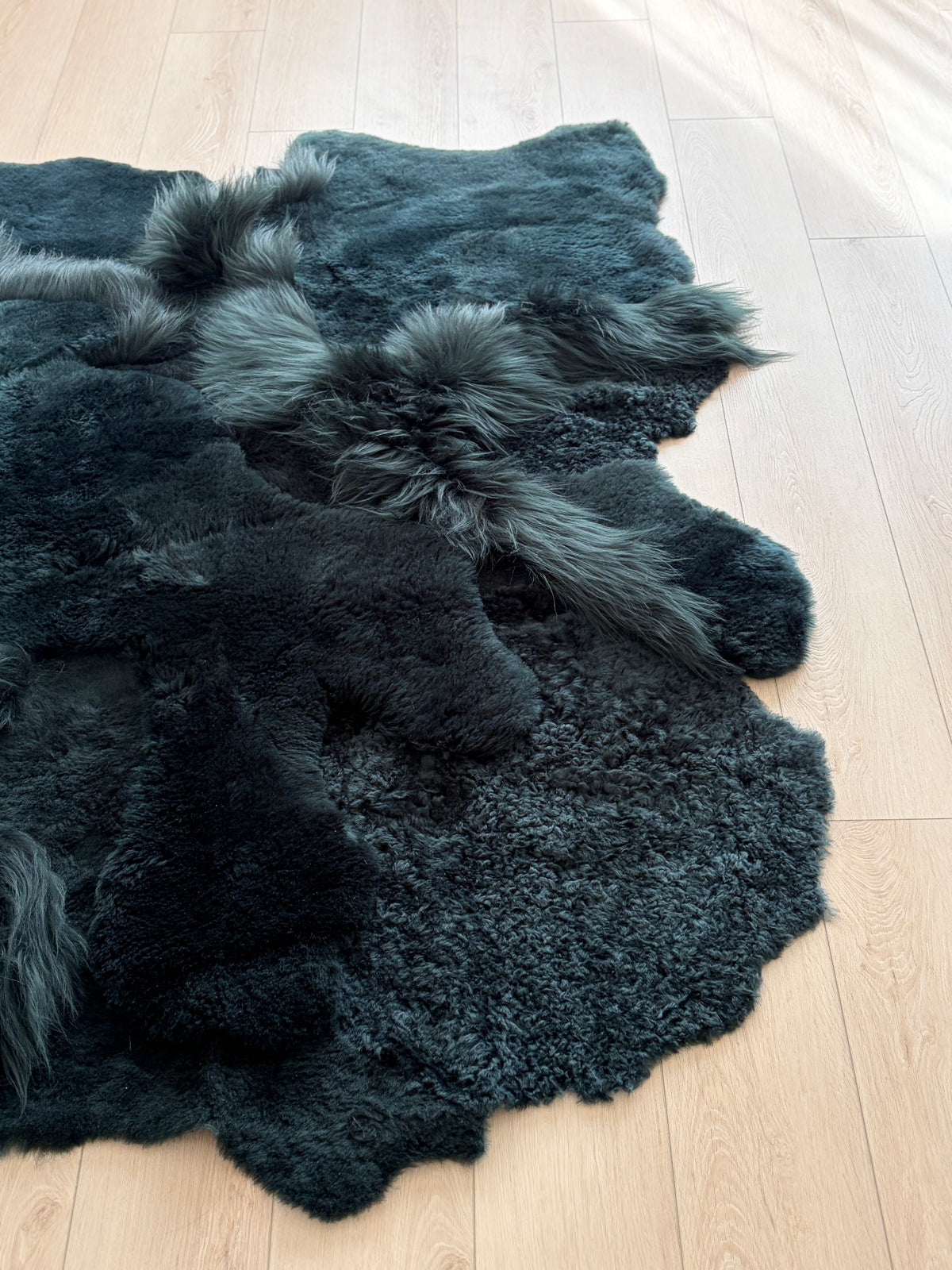 ONE OF A KIND Bottle Green Sheepskin Rug