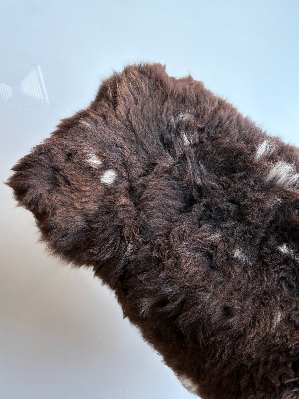 Unique Brown/White Speckled Welsh Sheepskin
