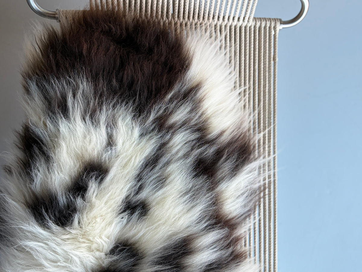 Unique White/Black Speckled Welsh Sheepskin