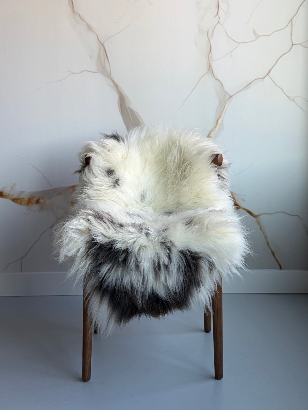 Unique White/Black Speckled Welsh Sheepskin