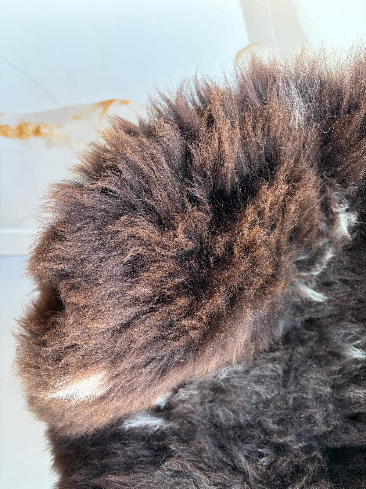 Unique Brown/White Speckled Welsh Sheepskin