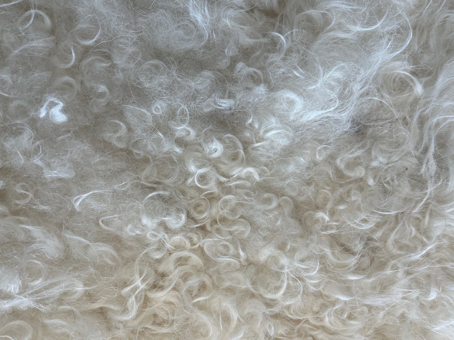 ONE OF THE KIND Icelandic White Sheepskin